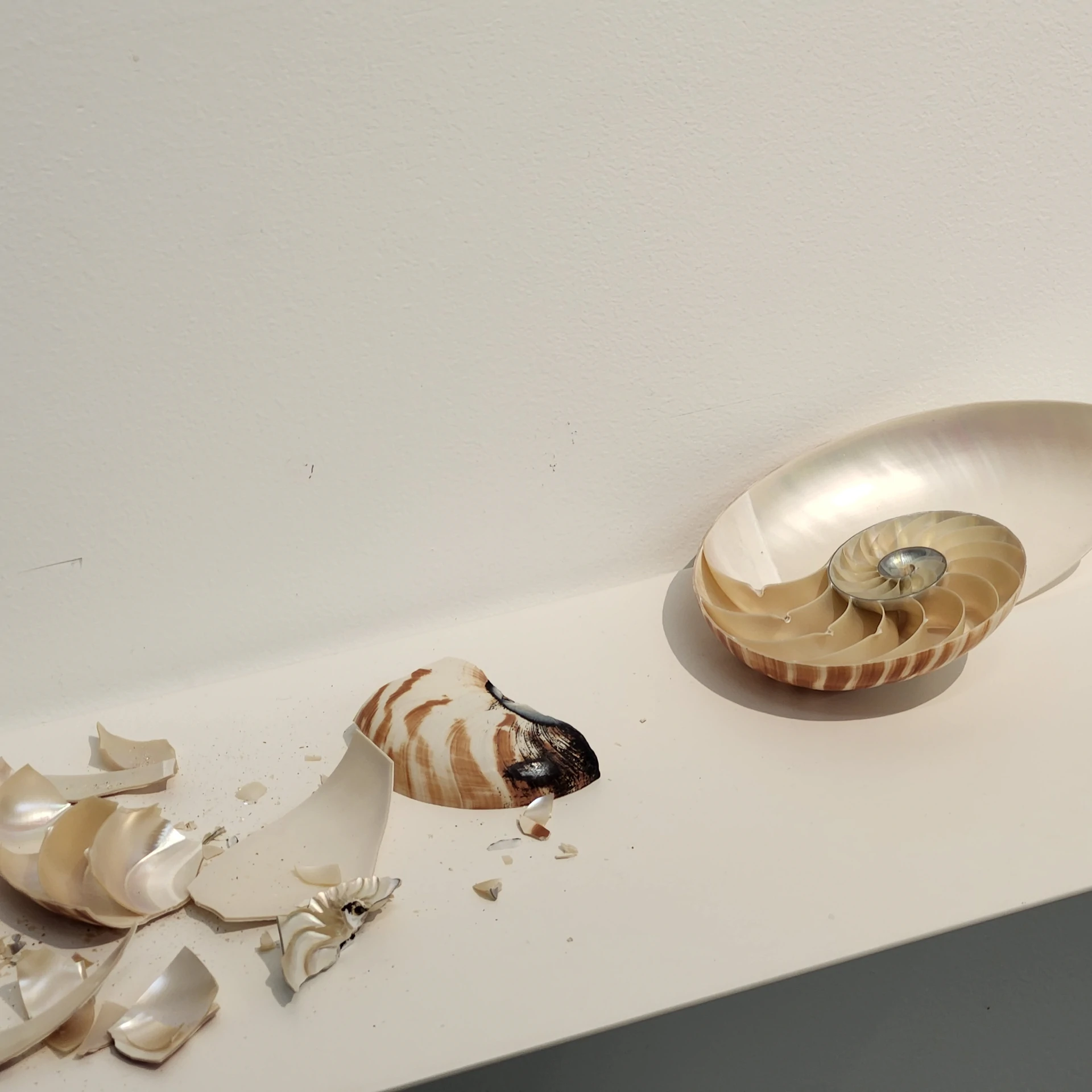 exhibition image